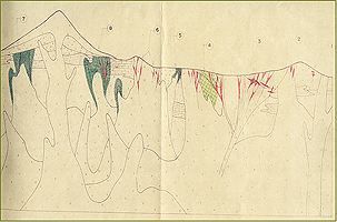 idealized  mineralization section 